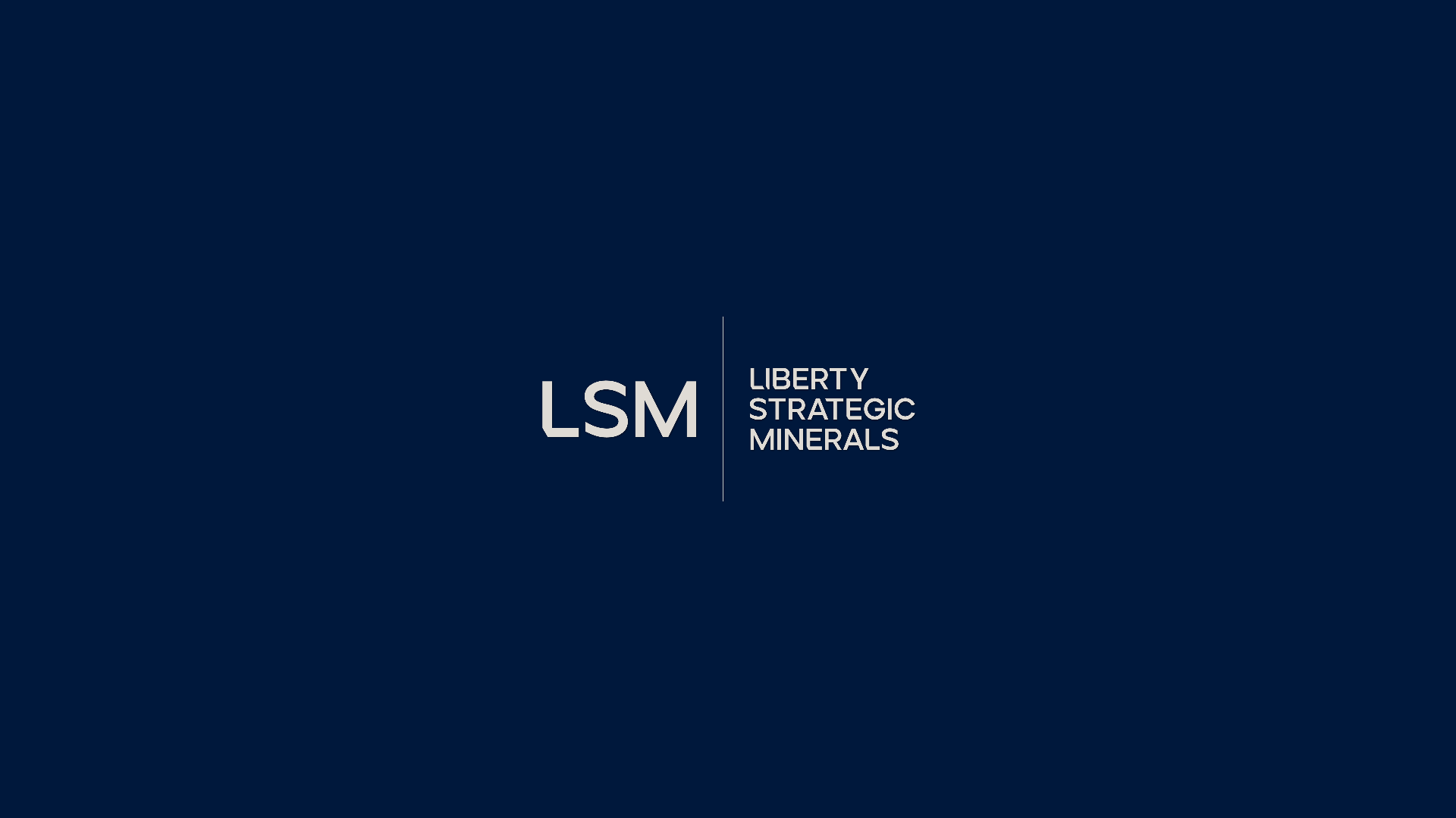LSM mark on navy